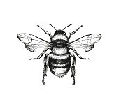Armor